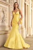 Hot Pink Spaghetti Straps Bow-Back Trumpet Long Gown