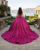 Fuchsia Sleeveless Sequin Quinceanera Dress