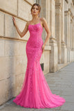 Mermaid Spaghetti Straps Lace Prom Dress