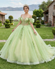 Sage Green Off Shoulder Beading Floral Appliqué Quinceanera Dress