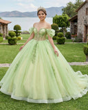 Sage Green Off Shoulder Beading Floral Appliqué Quinceanera Dress