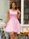 Vestido de fiesta de graduación, corte A/princesa, tul, apliques, escote redondo, sin mangas, corto/mini