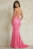 Sky Blue Spaghetti Straps Mermaid Tulle Long Prom Dresses With Appliques