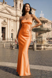 Spaghetti Straps Sheath Aqua Blue Prom Dress Formal Satin Party Dress