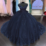 Lace Tulle Sage Applique Off Shoulder Quinceanera Dresses