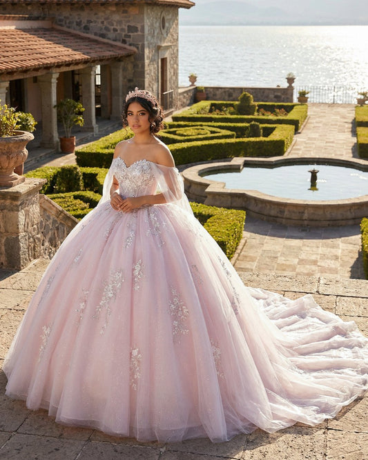 Light Pink Ball Gown Appliqued Quinceañera Dresses