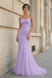 Mermaid Spaghetti Straps Lace Prom Dress