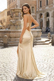 Pink Spaghetti Straps Satin Mermaid Long Prom Dress With Split