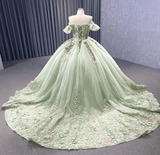 Sage Green Off The Shoulder Lace Up Back Ball Gown Quinceanera Dress