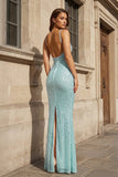 Simple Pink Mermaid Straps Sequin Prom Dresses With Split