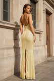 Simple Pink Mermaid Straps Sequin Prom Dresses With Split