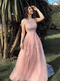 Vestido de noche de fiesta con corte A/princesa, de tul, con apliques, escote redondo, sin mangas y cola larga