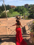 Trumpet/Mermaid Sleeveless Tulle Applique Scoop Sweep/Brush Train Dresses Prom Evening Dress