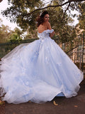 Ballkleid Tüll Applikationen Off-the-Shoulder Ärmellos Sweep/Pinsel Schleppe Kleider Ballkleider Quinceanera Kleid