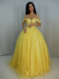 Ballkleid Tüll Applikationen Off-the-Shoulder Ärmellos Sweep/Brush Train Kleider Ballkleid Quinceanera Ballkleider