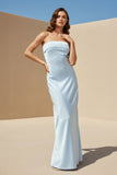 Sky Blue Strapless Sheath Satin Pleated Open Back Long Prom Dresses