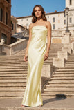 Sky Blue Strapless Sheath Satin Pleated Open Back Long Prom Dresses
