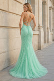 Mermaid Spaghetti Straps Lace Prom Dress