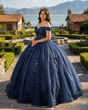 Navy Blue Organza Off The Shoulder Ball Gown Quinceanera Dress