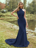 Sheath/Column Stretch Crepe Lace Halter Sleeveless Sweep/Brush Train Bridesmaid Dresses Evening Dress