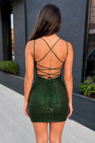 Bodycon V Neck Burgundy Sequins Mini Party Dresses