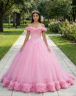 Off The Shoulder Flowers Tulle Ball Gown Pink Quinceanera Dresses