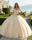 Off The Shoulder Butterfly Quinceanera Dress Glitter Ball Gown