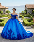 Royal Blue Tulle Off The Shoulder Quinceanera Dress