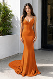 Purple Spaghetti Straps Lace-Up Mermaid Long Formal Dress