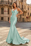 Spaghetti Straps Light Blue Appliques Mermaid Prom Dress