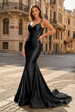 Spaghetti Straps Light Blue Appliques Mermaid Prom Dress