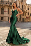 Spaghetti Straps Light Blue Appliques Mermaid Prom Dress