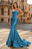 Spaghetti Straps Light Blue Appliques Mermaid Prom Dress