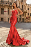 Spaghetti Straps Light Blue Appliques Mermaid Prom Dress