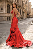 Spaghetti Straps Light Blue Appliques Mermaid Prom Dress