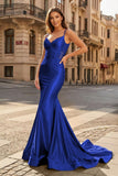Spaghetti Straps Light Blue Appliques Mermaid Prom Dress