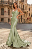 Spaghetti Straps Light Blue Appliques Mermaid Prom Dress