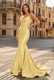 Spaghetti Straps Light Blue Appliques Mermaid Prom Dress