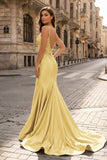 Spaghetti Straps Light Blue Appliques Mermaid Prom Dress