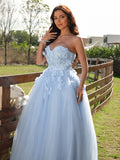 Ballkleid Tüll Applikationen Herzausschnitt Ärmellos Bodenlang Kleider Ballkleid Abendkleid