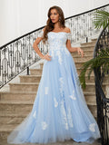 A-Line/Princess Tulle Applique Off-the-Shoulder Sleeveless Sweep/Brush Train Dresses Prom Evening Dress