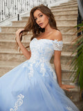 A-Line/Princess Tulle Applique Off-the-Shoulder Sleeveless Sweep/Brush Train Dresses Prom Evening Dress