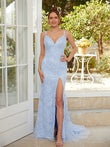 Sheath/Column Tulle Applique V-neck Sleeveless Sweep/Brush Train Dresses Prom Evening Dress