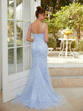 Sheath/Column Tulle Applique V-neck Sleeveless Sweep/Brush Train Dresses Prom Evening Dress