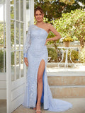 Sheath/Column Tulle Applique One-Shoulder Long Sleeves Sweep/Brush Train Dresses Prom Evening Dress