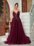 A-Line/Princess Tulle Applique V-neck Sleeveless Court Train Dresses Prom Evening Dress
