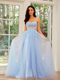 A-Line/Princess Tulle Lace Spaghetti Straps Sleeveless Sweep/Brush Train Dresses Prom Evening Dress