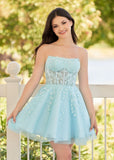 A-Line Tulle Lace Homecoming Dress with Appliques