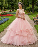 Pink A Line Organza Floor-Length Prom Dress with Appliqued