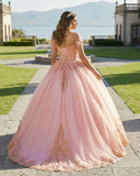 Pink Off The Shoulder Embroidered Lace Ball Gown Quinceanera Dresses